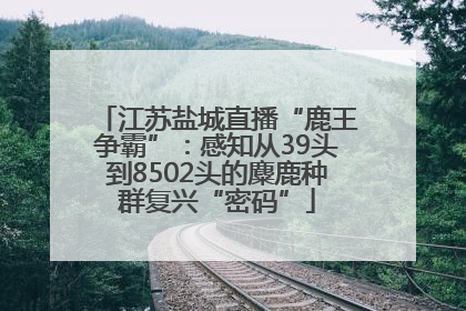 江苏盐城直播“鹿王争霸”：感知从39头到8502头的麋鹿种群复兴“密码”
