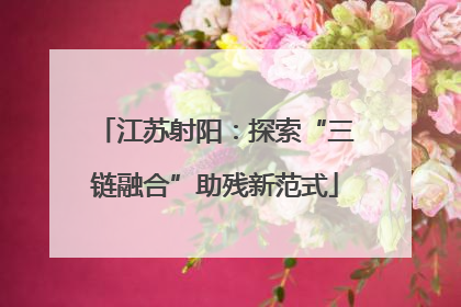 江苏射阳：探索“三链融合”助残新范式