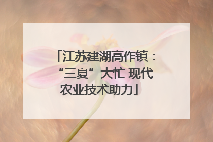 江苏建湖高作镇：“三夏”大忙 现代农业技术助力