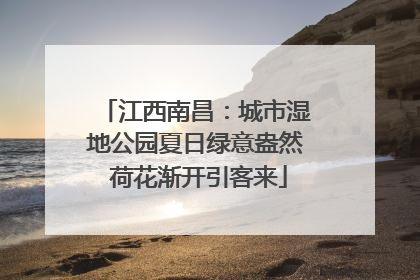 江西南昌：城市湿地公园夏日绿意盎然 荷花渐开引客来