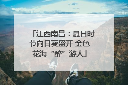 江西南昌：夏日时节向日葵盛开 金色花海“醉”游人
