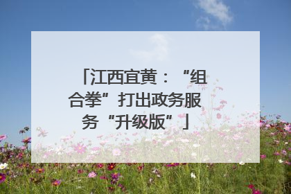 江西宜黄：“组合拳”打出政务服务“升级版”