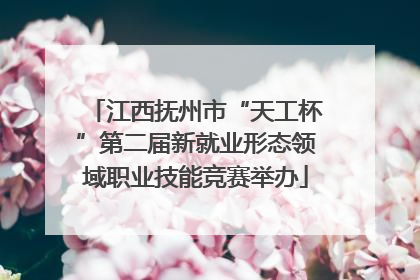 江西抚州市“天工杯”第二届新就业形态领域职业技能竞赛举办