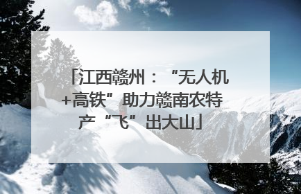 江西赣州：“无人机+高铁”助力赣南农特产“飞”出大山