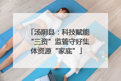 汤阴县：科技赋能“三资”监管守好集体资源“家底”