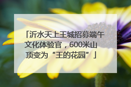 沂水天上王城招募端午文化体验官，600米山顶变为“王的花园”