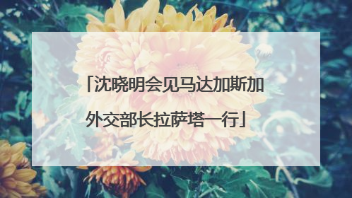 沈晓明会见马达加斯加外交部长拉萨塔一行
