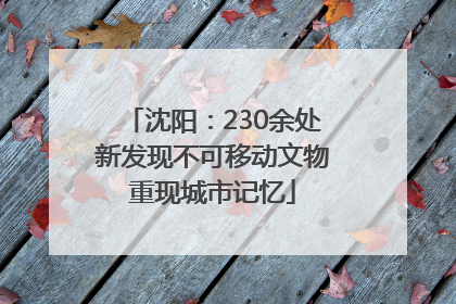沈阳：230余处新发现不可移动文物重现城市记忆