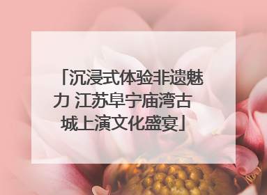 沉浸式体验非遗魅力 江苏阜宁庙湾古城上演文化盛宴