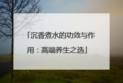 沉香煮水的功效与作用：高端养生之选