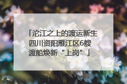 沱江之上的渡运新生 四川资阳雁江区6艘渡船焕新“上岗”