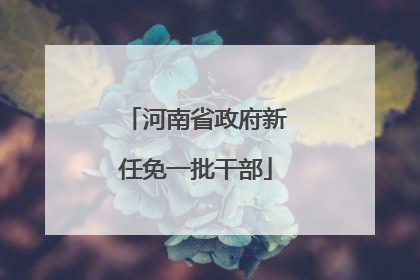 河南省政府新任免一批干部