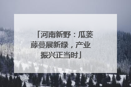 河南新野：瓜蒌藤蔓展新绿，产业振兴正当时