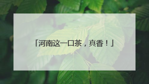 河南这一口茶，真香！