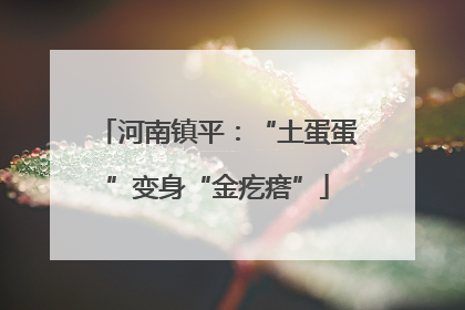 河南镇平：“土蛋蛋”变身“金疙瘩”