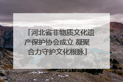 河北省非物质文化遗产保护协会成立 凝聚合力守护文化根脉