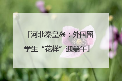 河北秦皇岛：外国留学生“花样”迎端午