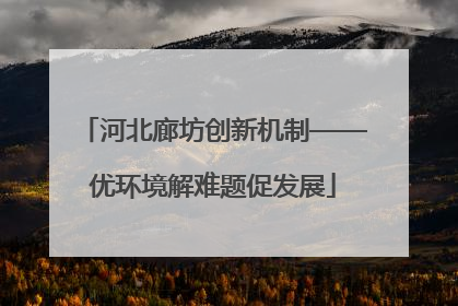 河北廊坊创新机制——优环境解难题促发展