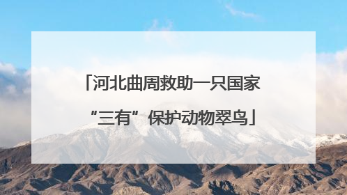 河北曲周救助一只国家“三有”保护动物翠鸟