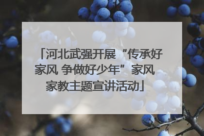 河北武强开展“传承好家风 争做好少年”家风家教主题宣讲活动