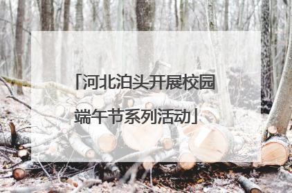 河北泊头开展校园端午节系列活动