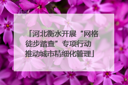 河北衡水开展“网格徒步踏查”专项行动 推动城市精细化管理