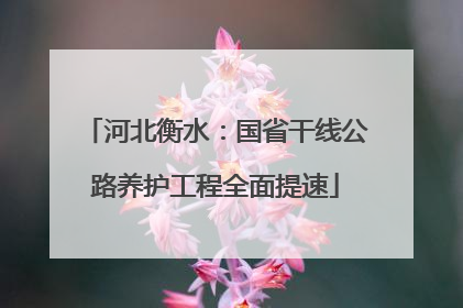 河北衡水：国省干线公路养护工程全面提速