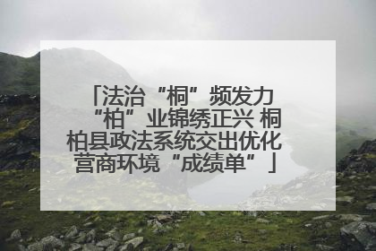 法治“桐”频发力 “柏”业锦绣正兴 桐柏县政法系统交出优化营商环境“成绩单”