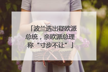 波兰选出疑欧派总统，亲欧派总理称“寸步不让”