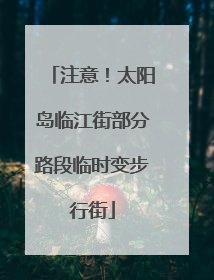 注意！太阳岛临江街部分路段临时变步行街