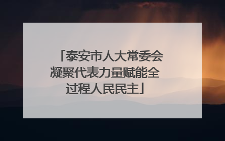 泰安市人大常委会凝聚代表力量赋能全过程人民民主
