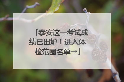 泰安这一考试成绩已出炉！进入体检范围名单→