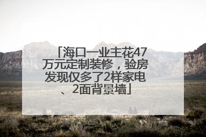 海口一业主花47万元定制装修，验房发现仅多了2样家电、2面背景墙