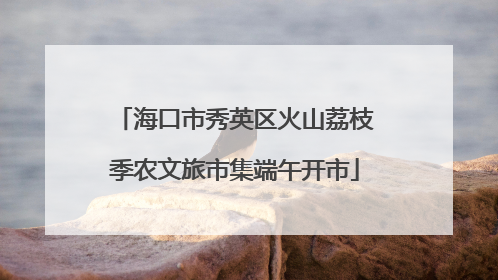 海口市秀英区火山荔枝季农文旅市集端午开市