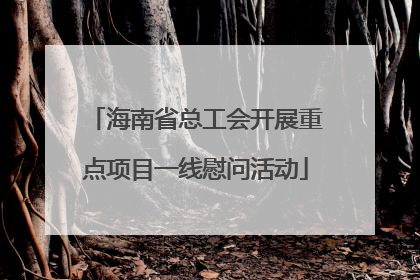 海南省总工会开展重点项目一线慰问活动