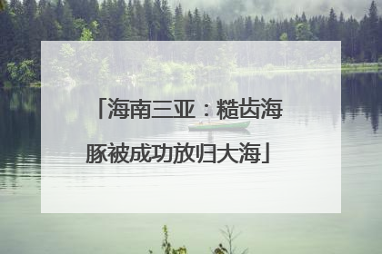 海南三亚：糙齿海豚被成功放归大海