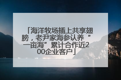 海洋牧场插上共享翅膀，老尹家海参认养“一亩海”累计合作近200企业客户