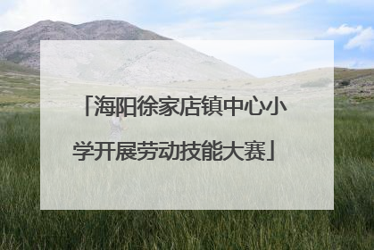 海阳徐家店镇中心小学开展劳动技能大赛