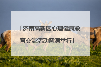 济南高新区心理健康教育交流活动圆满举行