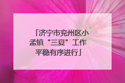 济宁市兖州区小孟镇“三夏”工作平稳有序进行