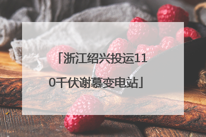 浙江绍兴投运110千伏谢慕变电站