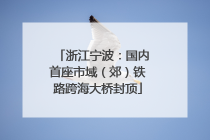 浙江宁波：国内首座市域（郊）铁路跨海大桥封顶