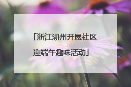 浙江湖州开展社区迎端午趣味活动