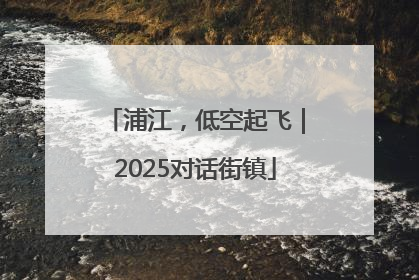 浦江，低空起飞｜2025对话街镇