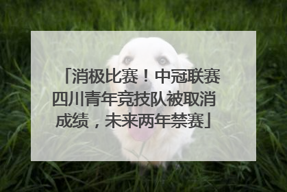 消极比赛！中冠联赛四川青年竞技队被取消成绩，未来两年禁赛