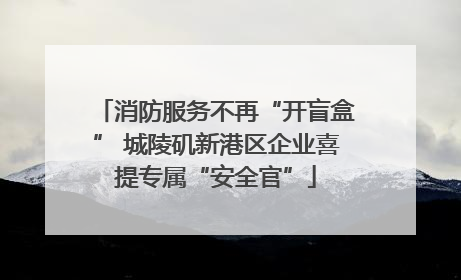 消防服务不再“开盲盒” 城陵矶新港区企业喜提专属“安全官”