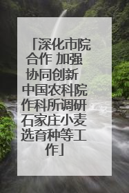 深化市院合作 加强协同创新 中国农科院作科所调研石家庄小麦选育种等工作