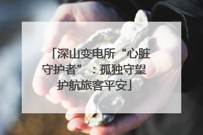 深山变电所“心脏守护者”：孤独守望护航旅客平安