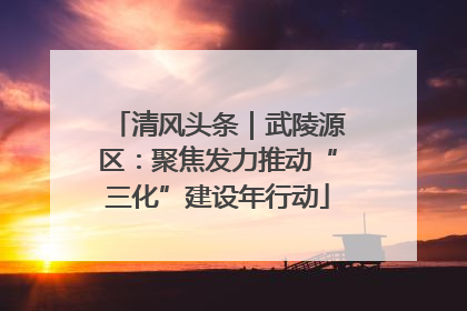 清风头条｜武陵源区：聚焦发力推动“三化”建设年行动