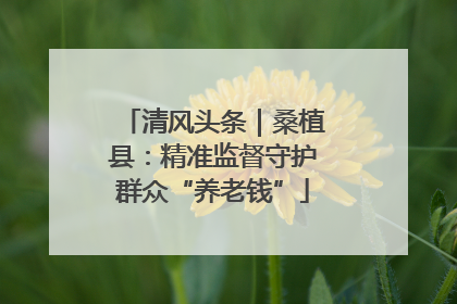 清风头条｜桑植县：精准监督守护群众“养老钱”